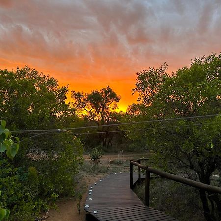 Out In Africa Wildlife Lodge 哈曼斯克拉尔 外观 照片