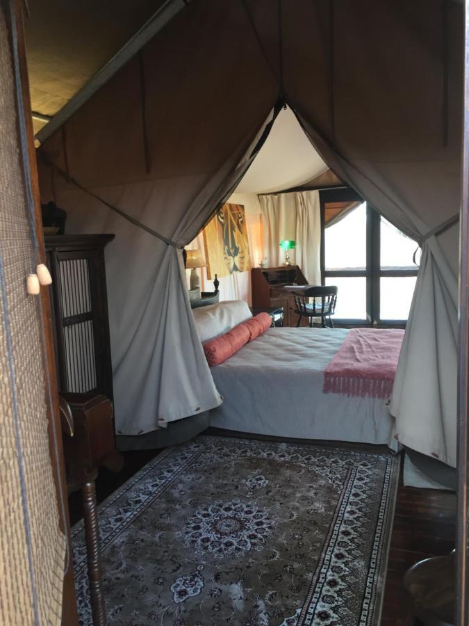 Out In Africa Wildlife Lodge 哈曼斯克拉尔 外观 照片