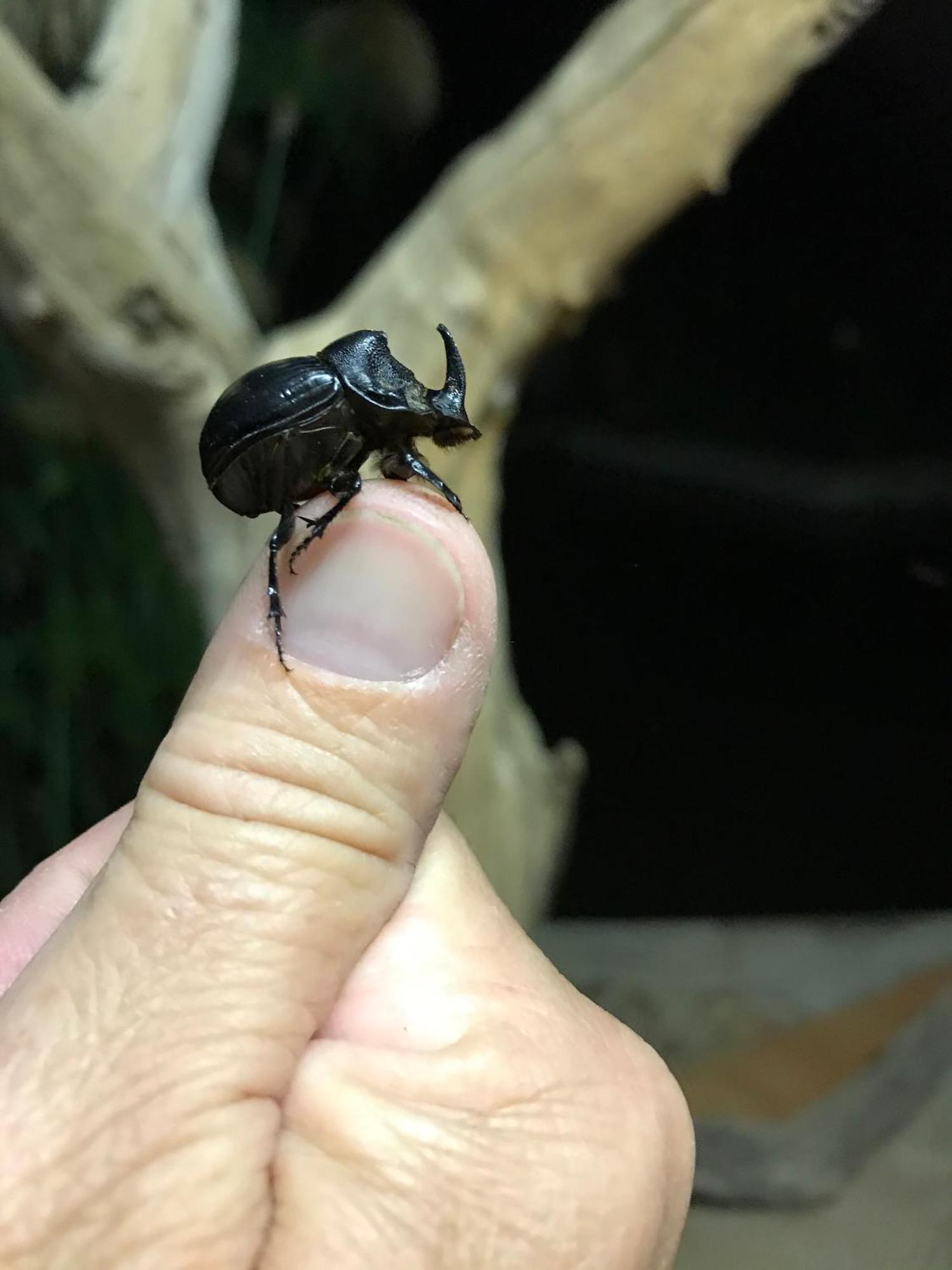 Out In Africa Wildlife Lodge 哈曼斯克拉尔 外观 照片