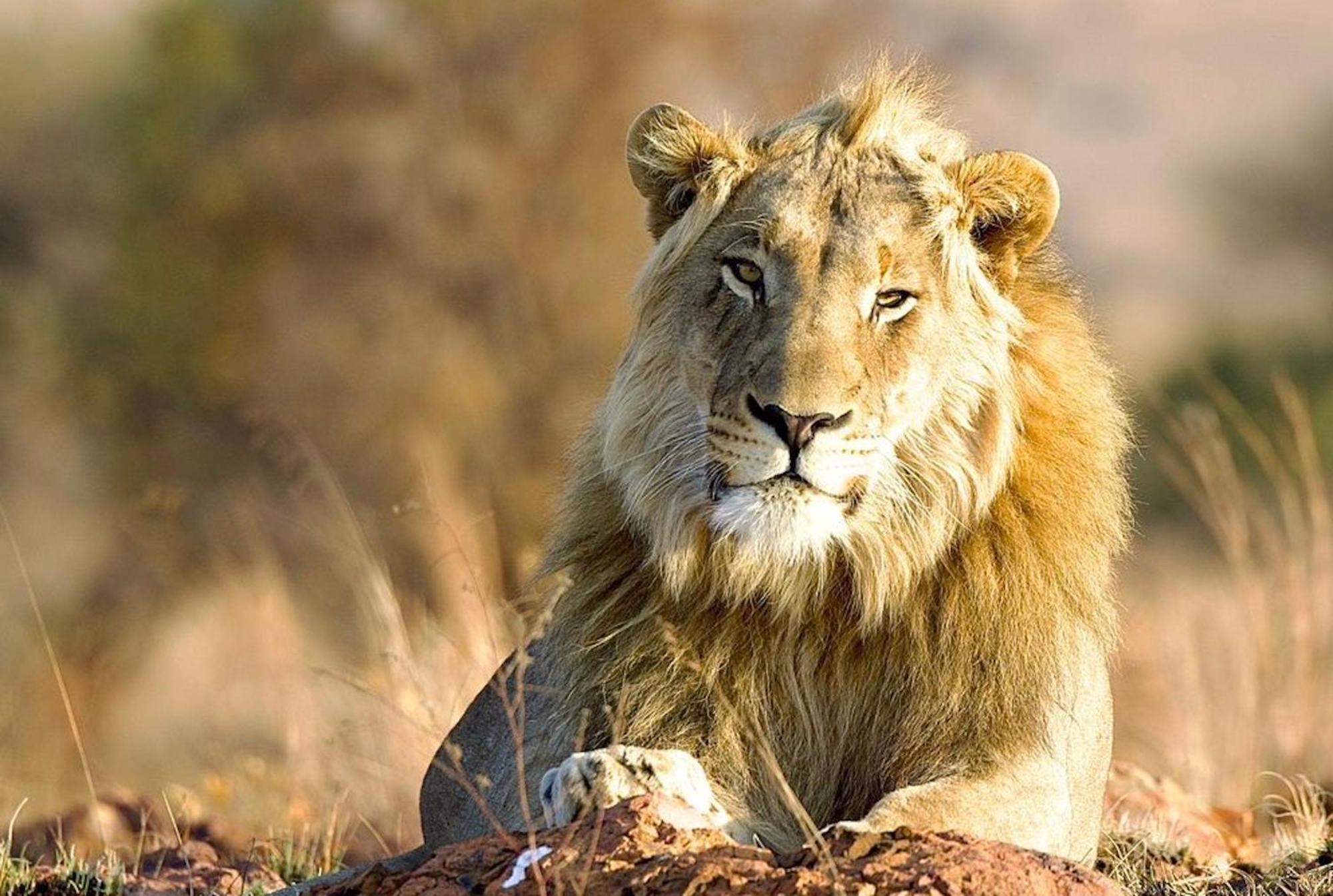 Out In Africa Wildlife Lodge 哈曼斯克拉尔 外观 照片
